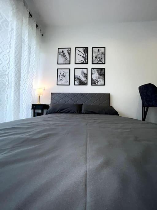 Bahnhofsapartment Loerrach エクステリア 写真